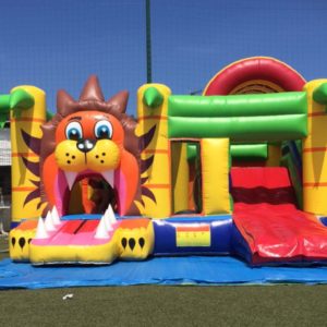 multiplay-lion-location-structure-gonflable-nice-06-paca